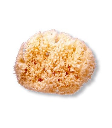 ESPONJA NATURAL GRANDE SUAVINEX