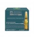 ENDOCARE TENSAGE AMPOLLAS 10x2ML