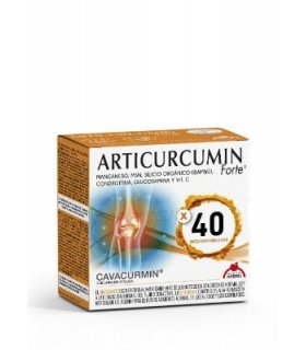 CUR ARTICURCUMIN FORTE 30 sobres