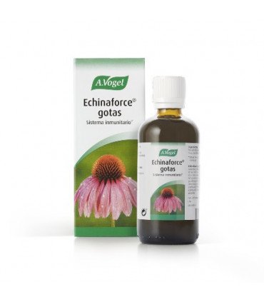 ECHINAFORCE 100ML AVOGEL