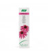 DENTAFORCE ECHINACEA (PDENTAL) AVOGEL