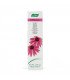 DENTAFORCE ECHINACEA (PDENTAL) AVOGEL