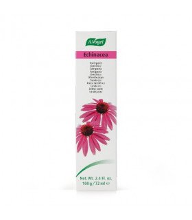 DENTAFORCE ECHINACEA (PDENTAL) AVOGEL