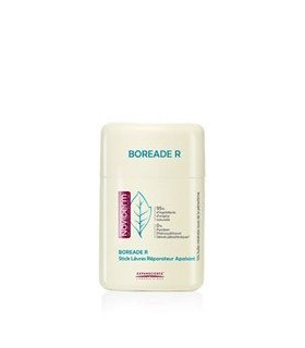 BOREADE R STICK REPARADOR 11ML